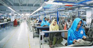 No Audit Since 2010? SITE Limited’s Financial Irregularities Exposed