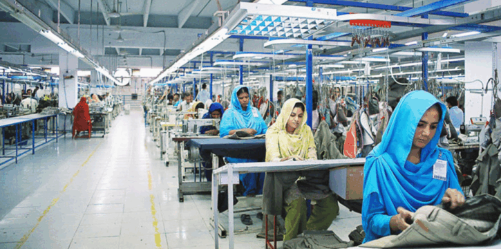 No Audit Since 2010? SITE Limited’s Financial Irregularities Exposed