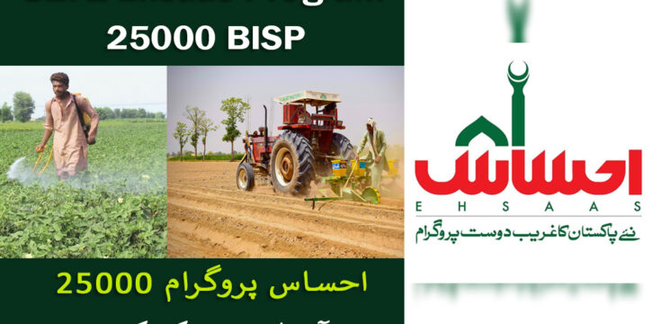 Ehsaas Program 2025 BISP 25000 payment