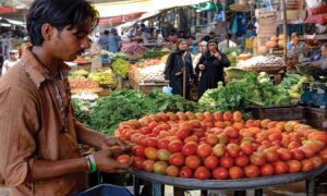 tomato price in Pakistan