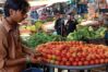 tomato price in Pakistan