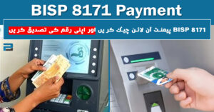 BISP 8171 Payment 2025