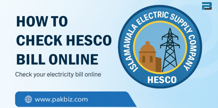 check hesco bill online