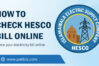 check hesco bill online