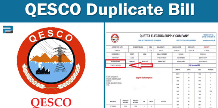 qesco duplicate bill online check