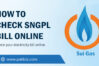 sngpl bill check online