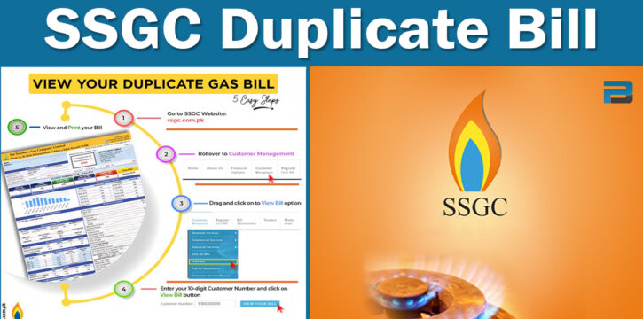 SSGC duplicate bill online