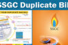 SSGC duplicate bill online