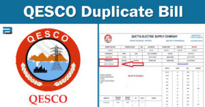 qesco duplicate bill online check