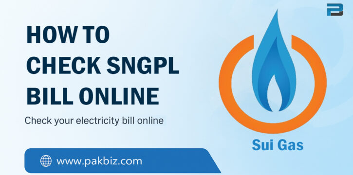 sngpl bill check online