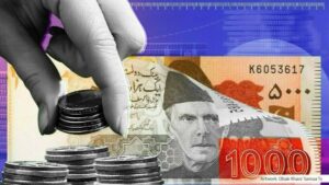 currency circulation in pakistan