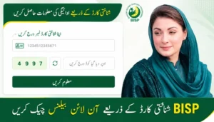 BISP Check Balance Online by CNIC 2026