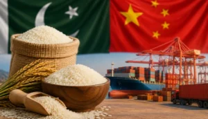 Pakistan Rice Exports to China Jump 511% in Early 2026