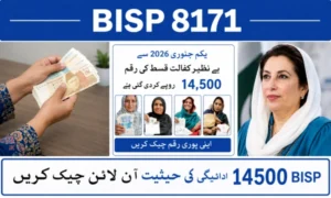 check 8171 Web Portal payment online