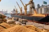 Pakistan Wheat Tender