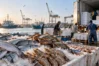 Pakistan's Seafood Exports